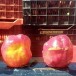 Σοκάρει η πρόβλεψη του Λέκκα: Εάν γίνει σεισμός 9 Ρίχτερ, ίσως χαθούν 200.000 άνθρωποι