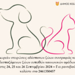 ΕΣΠΑ-ΔΑΜ: Δύο Εκδηλώσεις Δικτύωσης Επιχειρήσεων σε Κοζάνη και Μεγαλόπολη, στο πλαίσιο του Προγράμματος Δίκαιη Αναπτυξιακή Μετάβαση 2021-2027