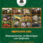 Δεν πήραν χαμπάρι Το… παραμύθι τελείωσε