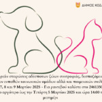 Χρήστος Ζευκλής: Θέτουμε υψηλά στάνταρ και υποστηρίζουμε τη σχολή Πυροσβεστών Τσοτυλίου – Παρουσία στην κοπή Βασιλόπιτας