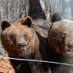 Εορτασμός Θεοφανείων στην Πτολεμαΐδα την Δευτέρα  6 Ιανουαρίου