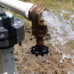 Εκδήλωση της κοπής πίτας της Ενότητας (Λ. Μαλούτας)