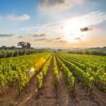 Συνάντηση ΣΠΑΡΤΑΚΟΥ με τον Διευθυντή του ΑΗΣ Αγίου Δημητρίου