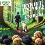 ΕΜΟΔΕ στο αεροδρόμιο Κοζάνης και Σχολή Πυροσβεστών Πτολεμαΐδας τα θέματα συσκέψεων του Περιφερειάρχη Γιώργου Αμανατίδη