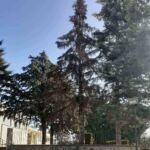 Αποκατάσταση τηλεφωνικών γραμμών Δήμου Εορδαίας