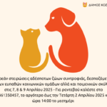 ΔΕΔΔΗΕ: Διακοπή ηλεκτρικού ρεύματος