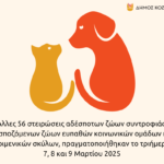 Δήμος Βοΐου: Τεχνική συνάντηση για την υπογειοποίηση του δικτύου ΔΕΔΔΗΕ στη Σιάτιστα
