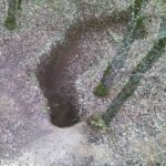 Περιφέρεια Δυτικής Μακεδονίας Η 1η εθελοντική αιμοδοσία από την Αντιπεριφέρεια Υγείας και Κοινωνικής Συνοχής