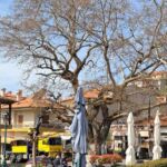 Δήμος Εορδαίας: Ορκωμοσία Δημοτικού Συμβούλου  Ανέστη Καραφουλίδη