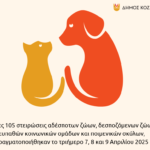 4η Τακτική Συνεδρίαση Δ.Σ. Δ.Ε.ΤΗ.Π.