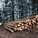 Με πάνω από 800 συμμετοχές πραγματοποιήθηκε ο 2ος Αγώνας Ορεινού Τρεξίματος «KASTRA MOUNTAIN TRAIL» στα Σέρβια