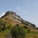 Συνελήφθησαν δύο ημεδαποί για βαριά σωματική βλάβη κατά συναυτουργία σε βάρος 58χρονου ημεδαπού