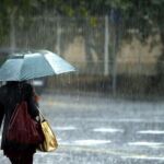 Με επιτυχία ολοκληρώθηκε το διήμερο στειρώσεων δεσποζόμενων και αδέσποτων ζώων στον Δήμο Εορδαίας