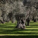 Ξεκινά η ανέγερση νέου Κέντρου Υγείας στην Κοζάνη