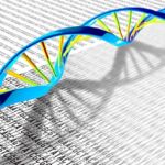 Αλεξάνδρα Σδούκου: Αν οι πρυτανικές αρχές δεν εφαρμόζουν το νόμο, αυτό θα συνιστά παράβαση καθήκοντος