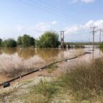 Έναρξη με μια υπέροχη έκθεση γλυπτικής για τις Γιορτές Βοΐου «Πέλεκον 2025»