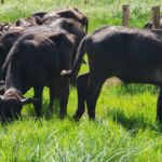 Δήμος Κοζάνης: Πρόσκληση στην Ημερίδα Παρουσίασης του Ευρωπαϊκού Έργου Eyes Hearts Hands