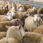 ΔΕΤΗΠ: Νέα ρύθμιση για οφειλές τηλεθέρμανσης έως 12 Σεπτεμβρίου