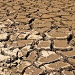 Ξεκίνησε η ηλεκτρονική επίδοση εγγράφων από τους δήμους – Όλα στη Θυρίδα Πολίτη και στο Gov.gr Wallet