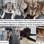 Δήμος Κοζάνης: Οδηγίες από την Πολιτική Προστασία για Υψηλές Θερμοκρασίες