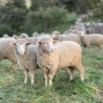 Κακούργημα η τηλεπειρατεία – Θα διώκονται όσοι χρησιμοποιούν «σπασμένους» κωδικούς