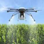 Κοζάνη: Χάνονται οι μάστορες της πέτρας που έχτισαν μονότοξα και πολύτοξα γεφύρια