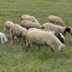 Πράσινο φως για φωτοβολταϊκό 300 MW στην Κοζάνη – Αλλαγή θέσης του ΚΥΤ και μείωση της ικανότητας αποθήκευσης