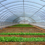 Εξωδικαστικός συμβιβασμός: Νέα ευκαιρία για επίλυση φορολογικών διαφορών – Κούρεμα προστίμων έως 75%