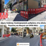 Θανάτωση 220 ζώων σε κτηνοτροφική μονάδα Κοζάνης που εντοπίστηκε κρούσμα ευλογιάς