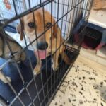 ΣΧΕΔΙΟ RAW4RES Ενίσχυση υπεύθυνων πολιτικών εξόρυξης και ανθεκτικότητας πρώτων υλών κρίσιμης σημασίας στις Ευρωπαϊκές περιφέρειες