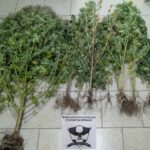 Εκδήλωση EUCF του Δήμου Εορδαίας