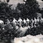 Πανελλήνιο Πρωτάθλημα Ταεκβοντό Παίδων – Κορασίδων  Χαλκίδα 2025