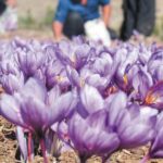 Ενίσχυση της Περιφέρειας Δυτικής Μακεδονίας με 109 νέες μόνιμες θέσεις εργασίας – Ένα ακόμη βήμα για μια ισχυρή, λειτουργική και αναπτυξιακά δυναμική Περιφέρεια