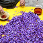 Παπαθανάσης από Κοζάνη: Στο 72% οι προσκλήσεις στο πλαίσιο του Προγράμματος Δίκαιης Αναπτυξιακής Μετάβασης