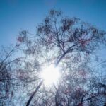 H ΔΕΗ (Στάσσης) «βλέπει» δεύτερο data center στη Ρουμανία κατά τα πρότυπα του campus που προχωρά στην Κοζάνη – Ο ΑΔΜΗΕ (Μανουσάκης) προειδοποιεί για αγώνα δρόμου στα δίκτυα