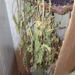 Τους ανθρώπους των Λαϊκών Αγορών Δυτικής Μακεδονίας υποδέχθηκε σήμερα ο Περιφερειάρχης Δυτικής Μακεδονίας Γιώργος Αμανατίδης