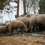 Αλλαγή σκυτάλης στη Περιφερειακή Διοίκηση της Πυροσβεστικής Δυτικής Μακεδονίας
