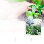 Συνάντηση εργασίας για τον εκσυγχρονισμό και τη βιωσιμότητα των λαϊκών αγορών με τον νέο Γενικό Γραμματέα Εμπορίου