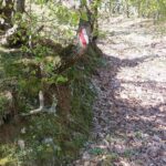 Θερμά λόγια της Κομισιόν στον Δήμο Κοζάνης για την πορεία υλοποίησης του Κλιματικού Συμβολαίου