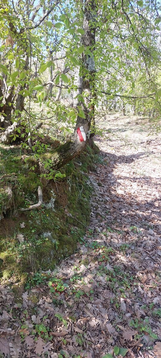 Ορειβατική Λέσχη Πτολεμαϊδας: Στα Μονοπάτια της Ειρήνης την Κυριακή 1 Μαρτίου