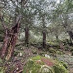 Αξιολόγηση του Περιφερειάρχη Δυτικής Μακεδονίας Γιώργου Αμανατίδη των όσων αναφέρονται σε απάντηση του κ. Κασαπίδη επί των απόψεών μας, για την δήθεν έλλειψη συντονισμού για αποχιονισμό της Εθνικής Οδού στα όρια της ΠΕ Γρεβενών