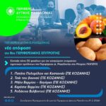 Σε αγωνιστικό συναγερμό οι αγρότες της Δυτικής Μακεδονίας – Προετοιμάζουν μαζική κάθοδο στην Αθήνα