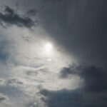 Δυναμική παρουσία του Ναυτικού Ομίλου Κοζάνης στους διασυλλογικούς αγώνες κωπηλασίας