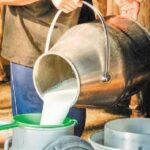 13° Baby Cup Taekwondo: Πάνω από 800 μικροί αθλητές γέμισαν το Κλειστό Λευκόβρυσης !!!