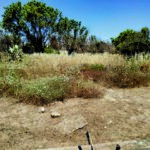 Ενημερωτική Εκδήλωση: «Παιδικός Καρκίνος και ΑμεΑ» – Ενημέρωση, Στήριξη και Ελπίδα