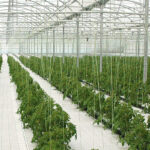 Δυτική Μακεδονία: Το αεροδρόμιο της Κοζάνης ανάμεσα στα 22 που βγαίνουν σε παραχώρηση