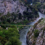 Ανακοίνωση από το Αυτοτελές Γραφείο Διαχείρισης Ζώων Συντροφιάς του Δήμου Κοζάνης