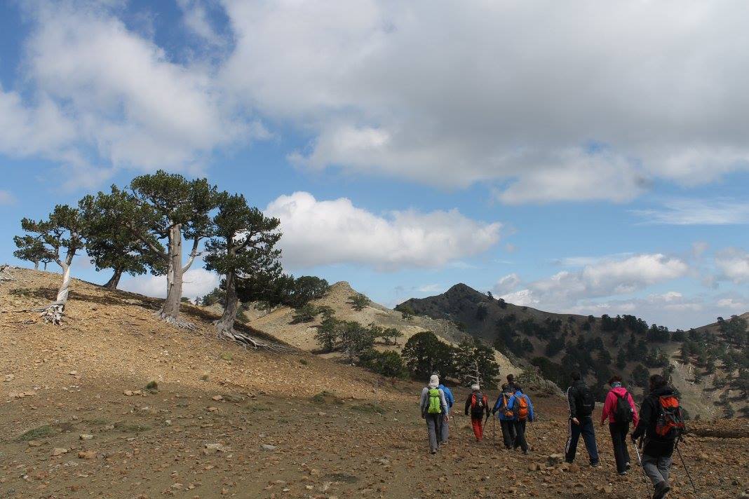Ελληνικός Ορειβατικός Σύνδεσμος Κοζάνης: Ανάβαση στον Σμόλικα
