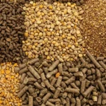 Εντυπωσιακή συμμετοχή του Συλλόγου Δρομέων Υγείας Κοζάνης στον 20ό Μαραθώνιο Θεσσαλονίκης 2026