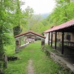 Οι κάτοικοι της Αχλάδας δεν είναι μόνοι